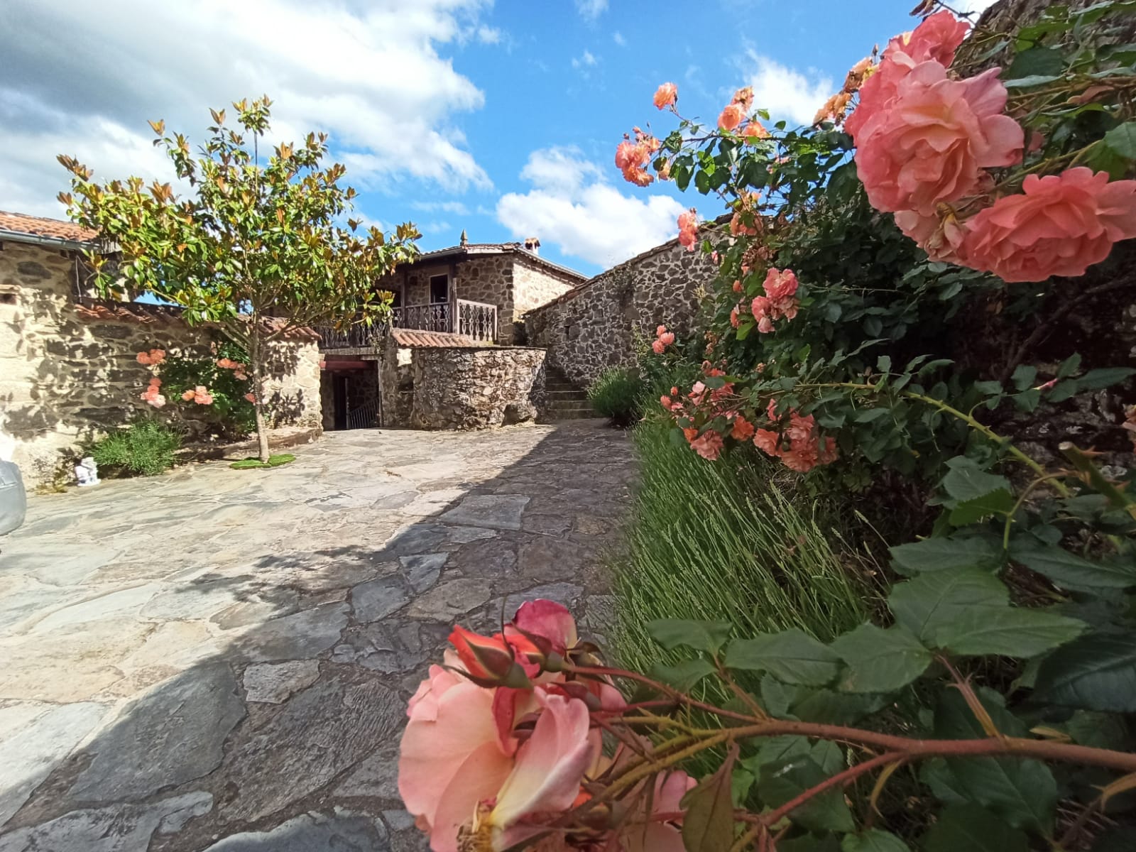 Apartamento Pedrosa · Aira Sacra